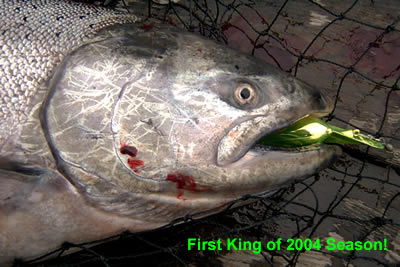 First King of 2004