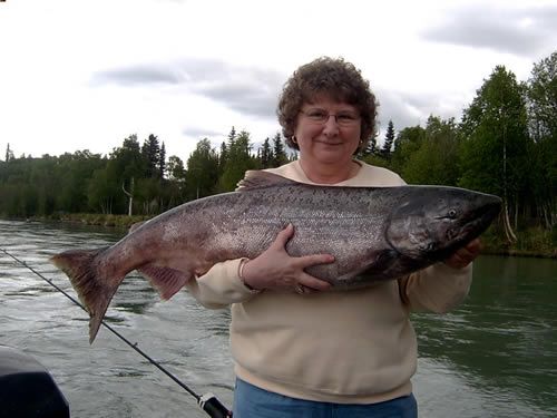 Alaska salmon on the Kenai River