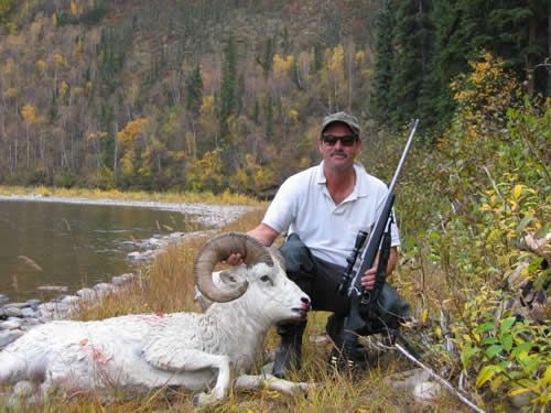 Alaska Dall Sheep taken by Pat