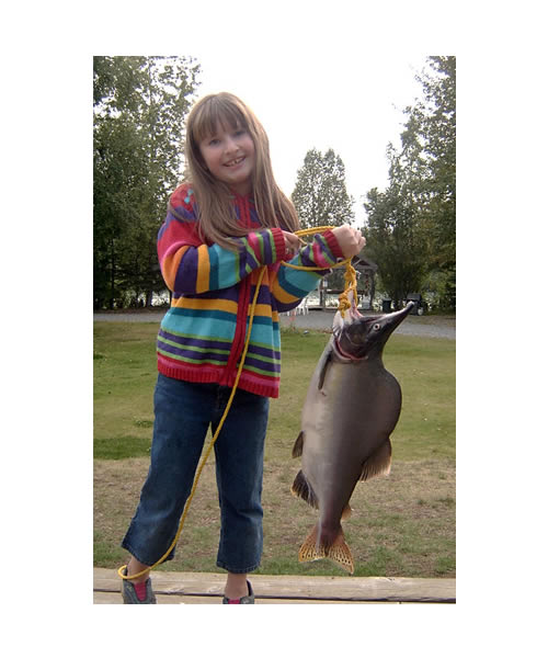 Allison's Big Pink!